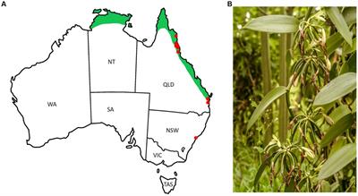 An integrated strategic framework for priority setting in the Australian vanilla industry